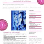 Page extraite de la Chronique d’atelier #3 – Linéatranshumance de Sylvie Gesbert de Línea, une exploration picturale du souffle et du mouvement.